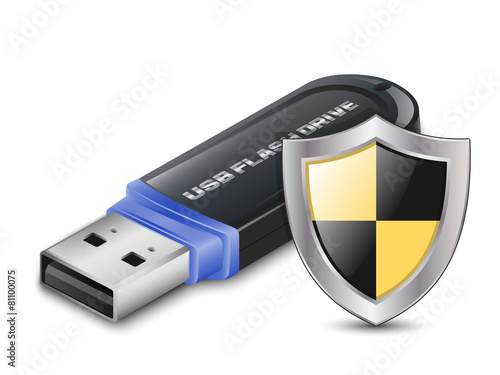 Data Protection Icon - USB Flash Drive with Shield. Vector