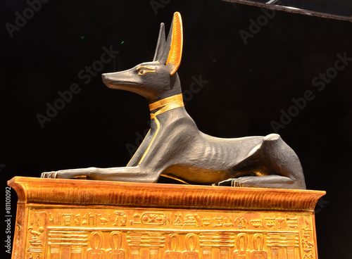 Anubis