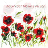 Watercolor Vector Flowers. Vector Watercolour Flowers.