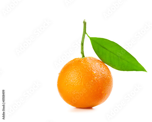 Ripe orange fruit with drops of water on the skin