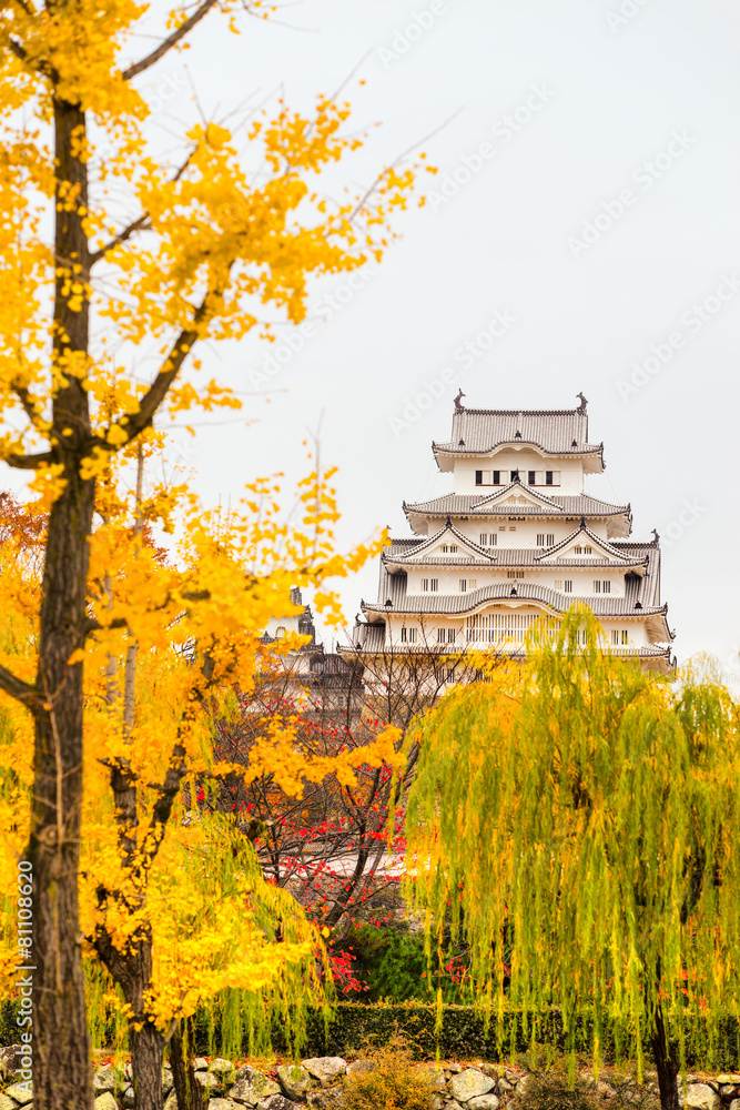 Fototapeta premium Himeji Castle, Japan.