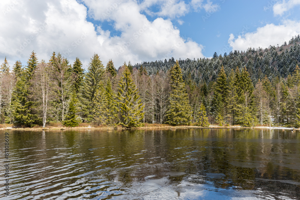 Fototapeta premium lac des Vosges