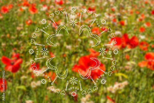 Summer illustration with poppies  meadow