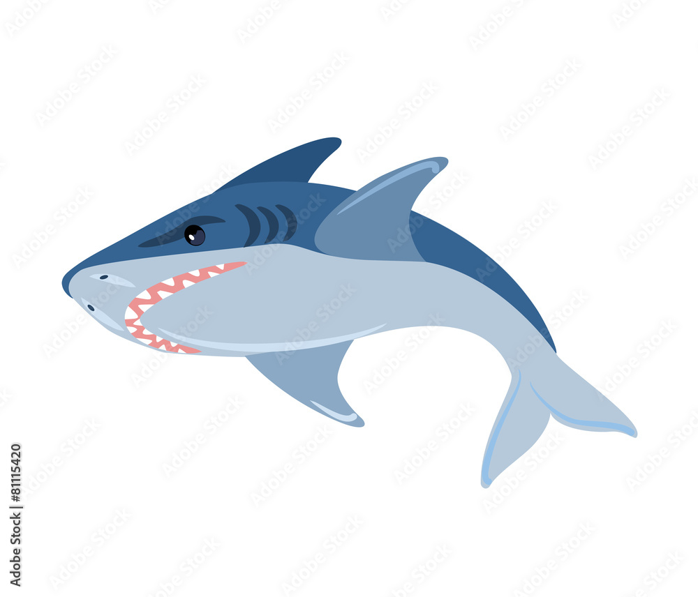 Obraz premium Vector shark illustration