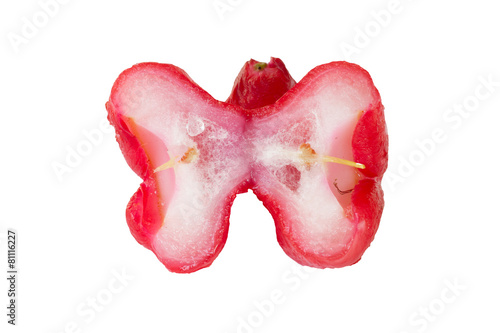 rose apple on the white background