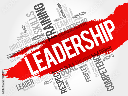 LEADERSHIP word cloud, business concept #81120814