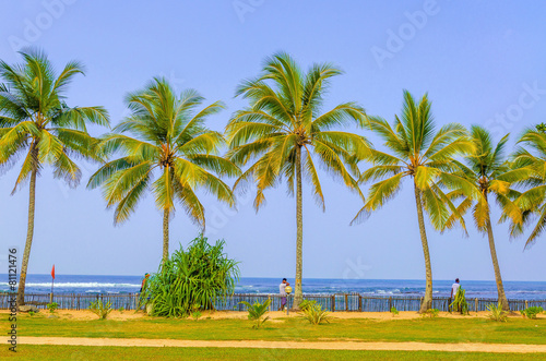 Amazing sandy beach with coconut palm