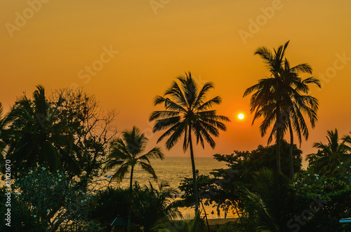 Romantic yellow sunset on a Caribbean beach full of tall palm