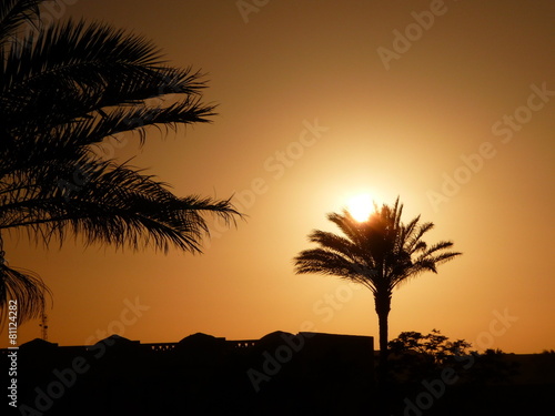 Sonnenuntergang mit Palme 2