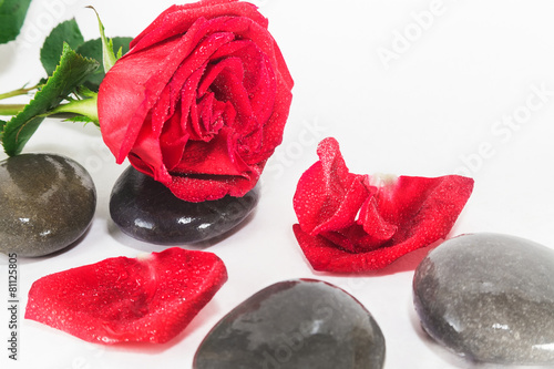 SPA stones and red rose