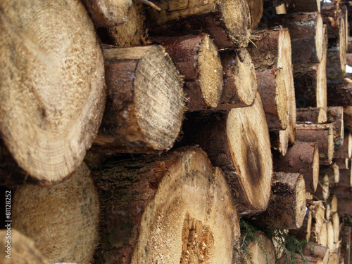 Holzstapel