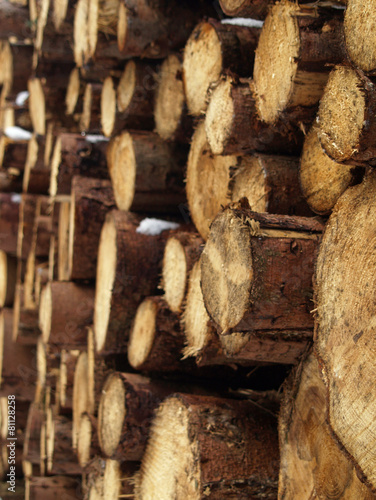 Holzstapel