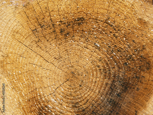 Holzmaserung