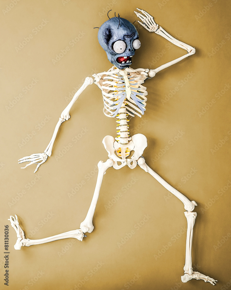 Skeleton Skeleton