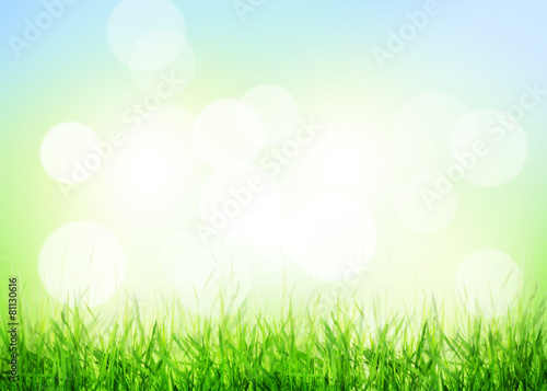 Summer background with grass and sunny bokeh