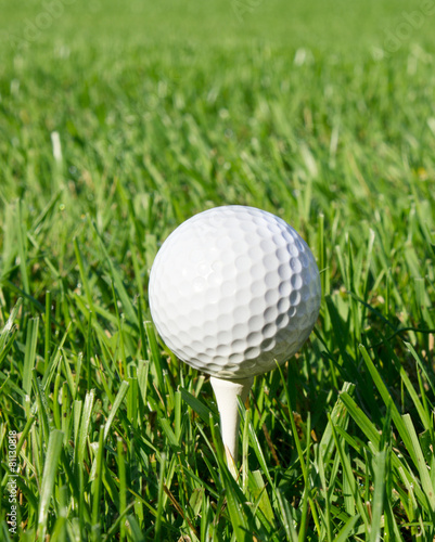 Golf ball