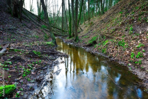 Small river in springtime forest