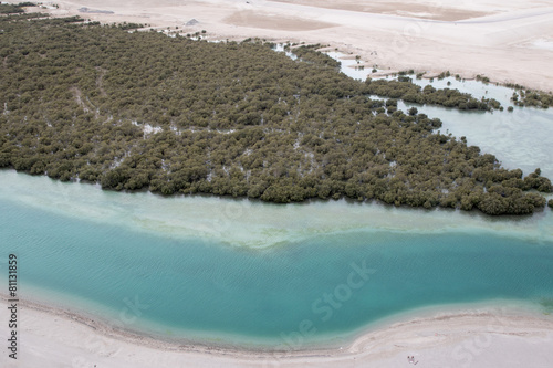  Vue aérienne de la mangrove d'Abou Dabi : entre dunes de sable et écosystème préservé