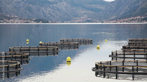 Coastal fish farming in Montenegro photo