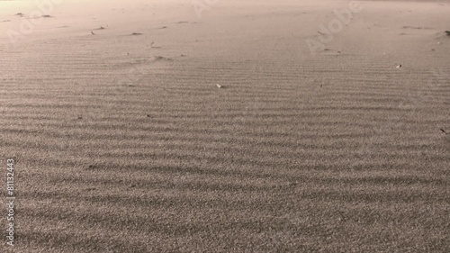 Blowing sand with strong winds