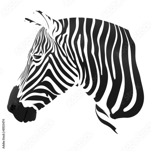the Zebra stripes on white