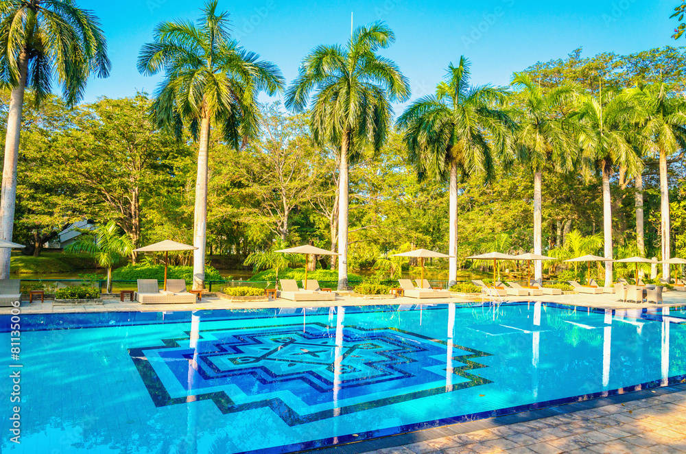 Amazing view of deck chairs and high palm trees at the pool