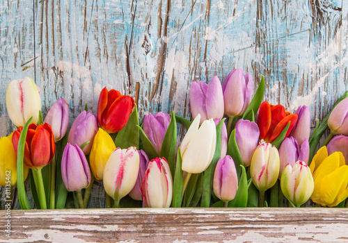 Fototapeta Naklejka Na Ścianę i Meble -  Beautiful tulips background