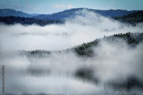 Mist over the lake