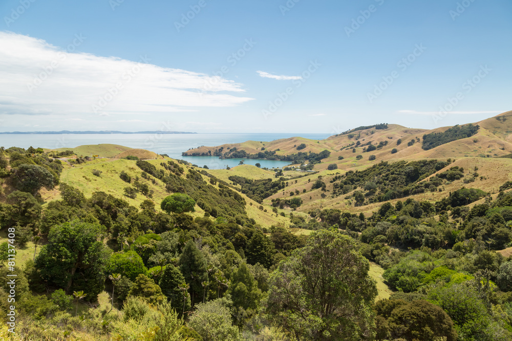 Landscape of a coastline at Wilson Bay, New Zealand
