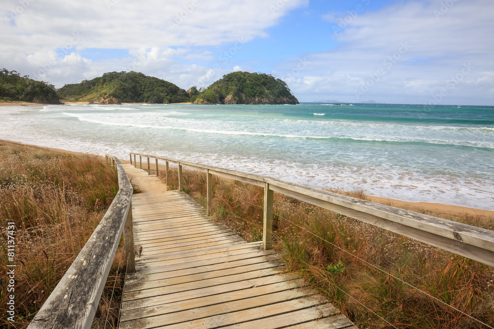 Beach entrance in New Zealand
