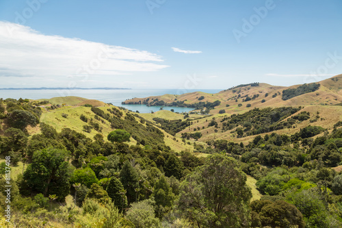 Landscape of a coastline at Wilson Bay, New Zealand © kyrien