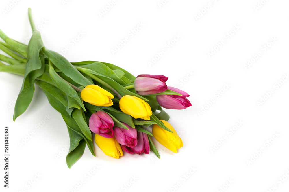 Bouquet of Tulips on white background. Selective focus. Bouquet of Tulips on white background. Selective focus.
