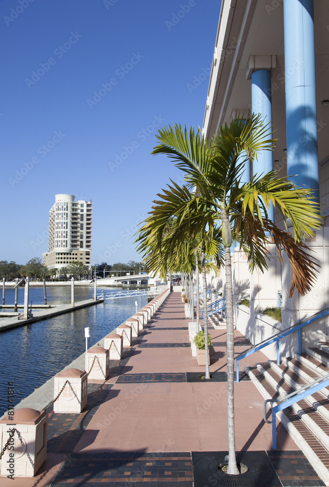 Obraz premium Walking in Tampa