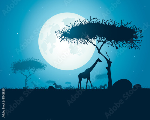 Tranquil night scane in Africa with silhouette animals and trees