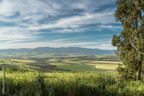 Jezreel Valley