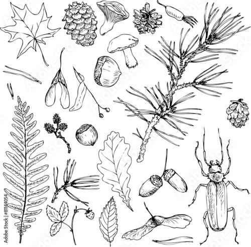 big set of forest objects