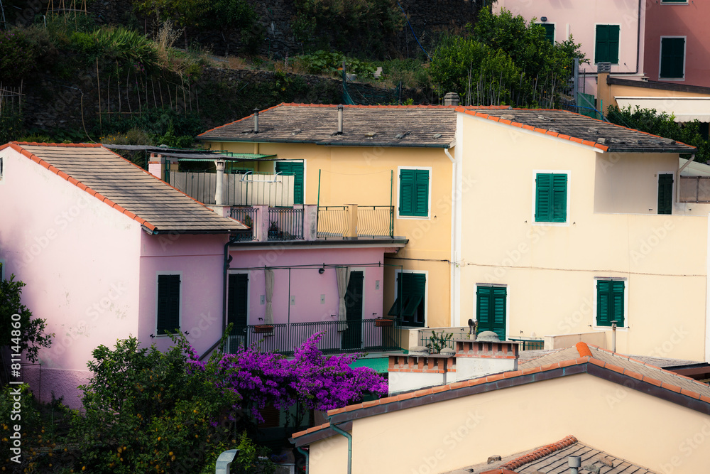 Fototapeta premium Manarola town at sunny day