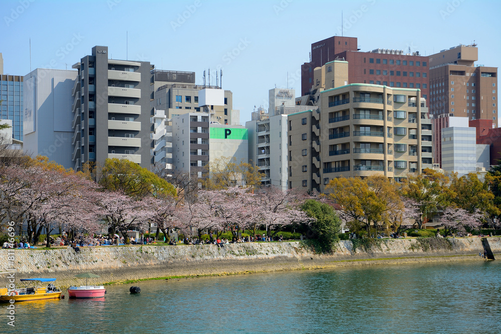 Cherry blossom in Hiroshima Peace Park, Japan