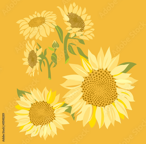 Fototapeta Naklejka Na Ścianę i Meble -  Sunflowers