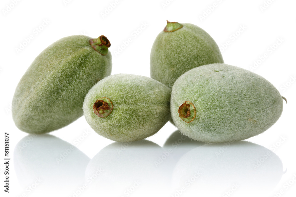 Green Almond Green Almond