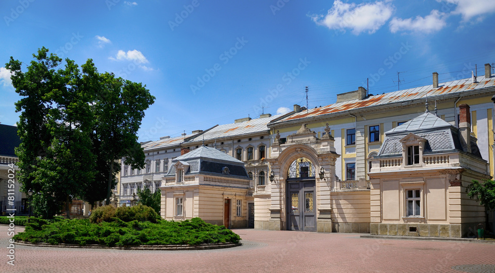 Potocki Palace in Lviv, Ukrainian. Currently - Lviv National Art