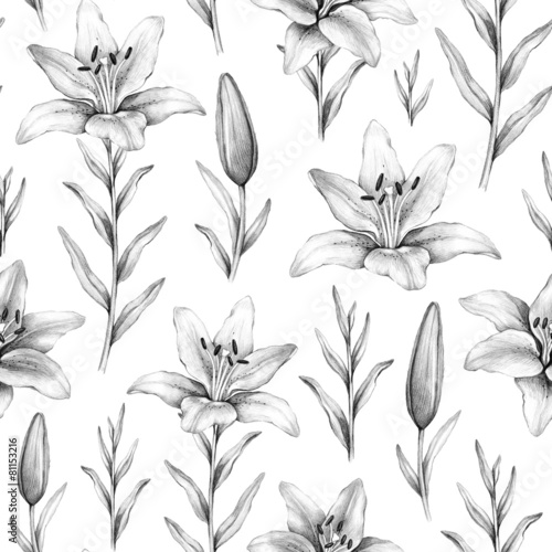Seamless pattern with pencil drawings of lily flowers photo
