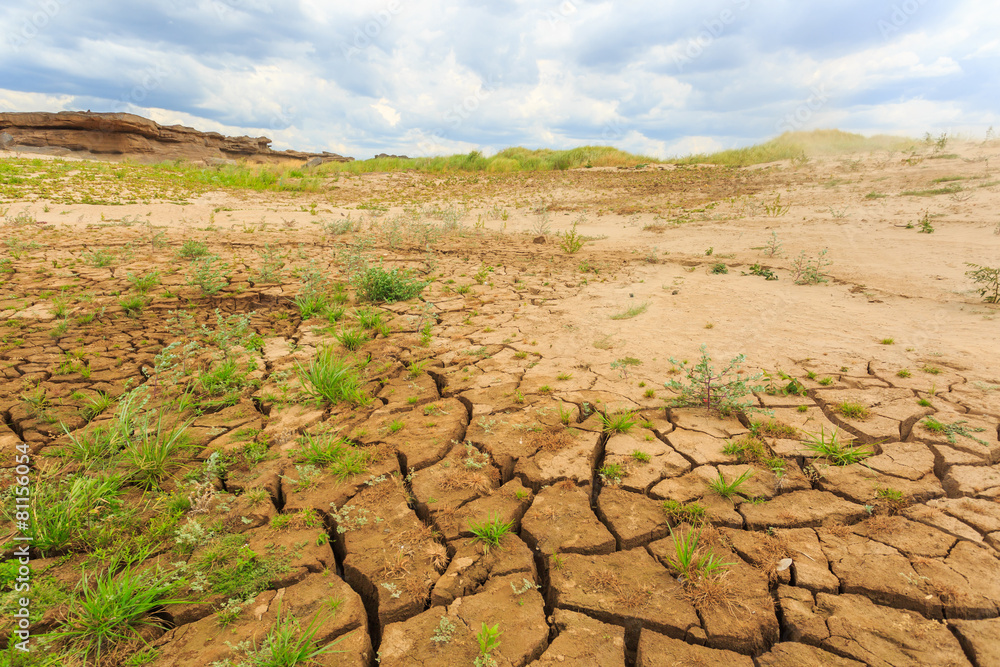 surface crack of soil in arid area
