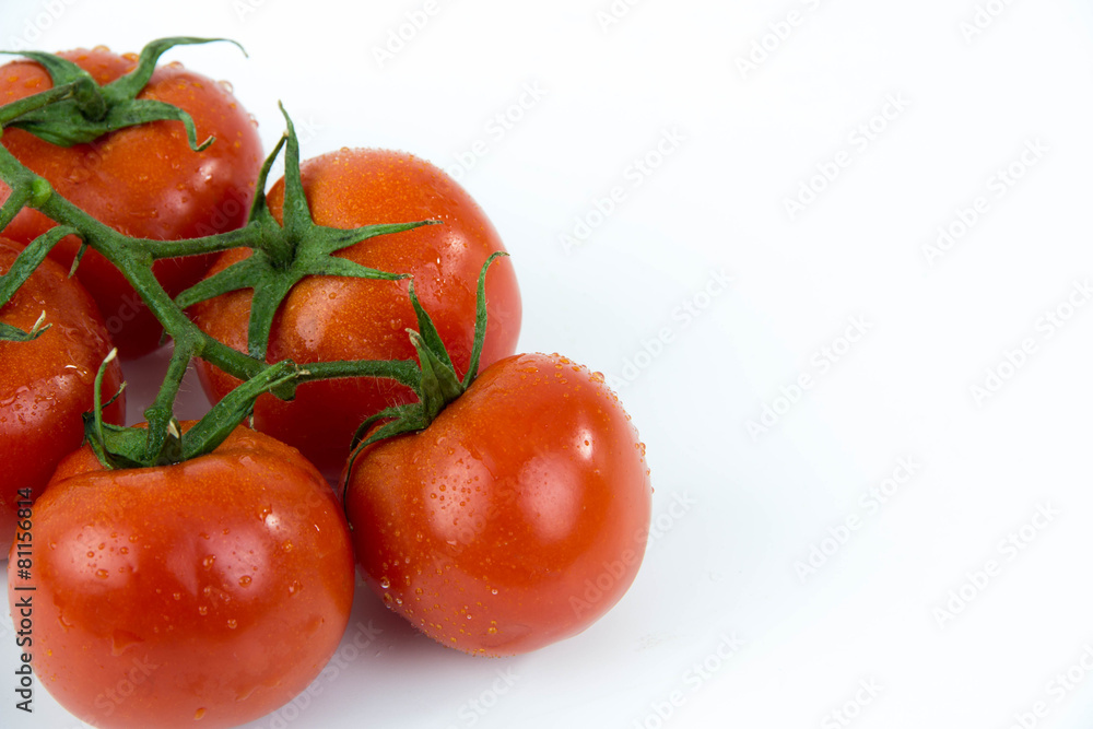 tomatoes on a vine isolated on white background tomatoes on a vine isolated on white background