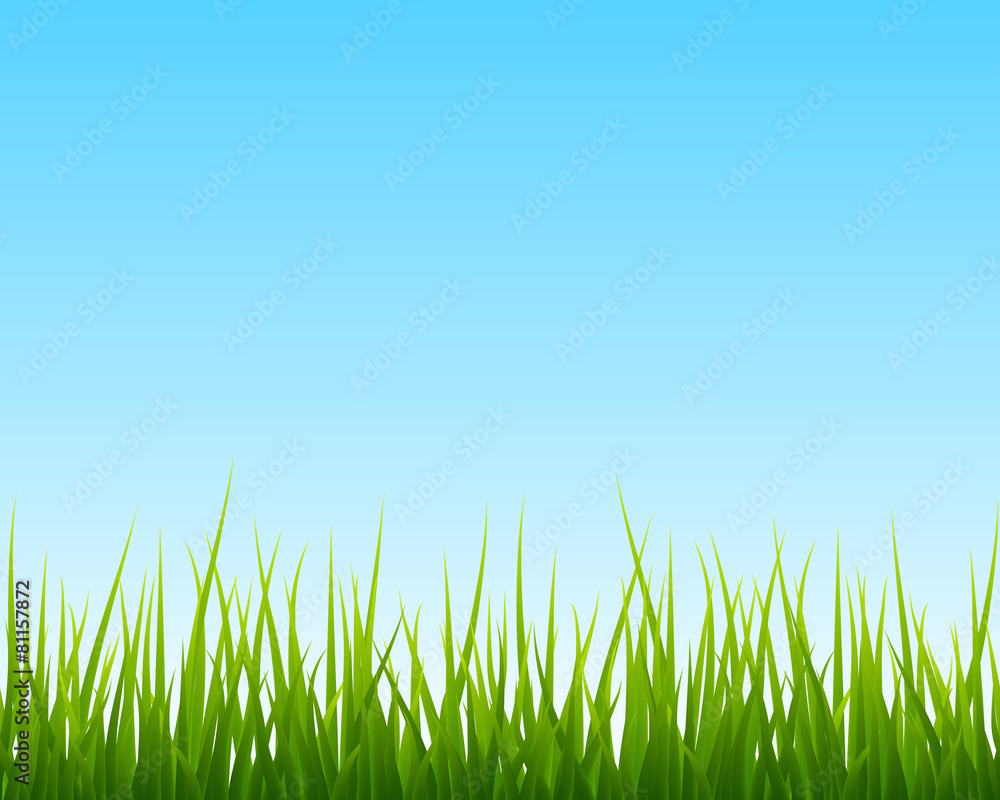 little green grass, blue sky seamless background little green grass, blue sky seamless background