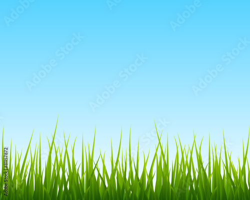 little green grass, blue sky seamless background