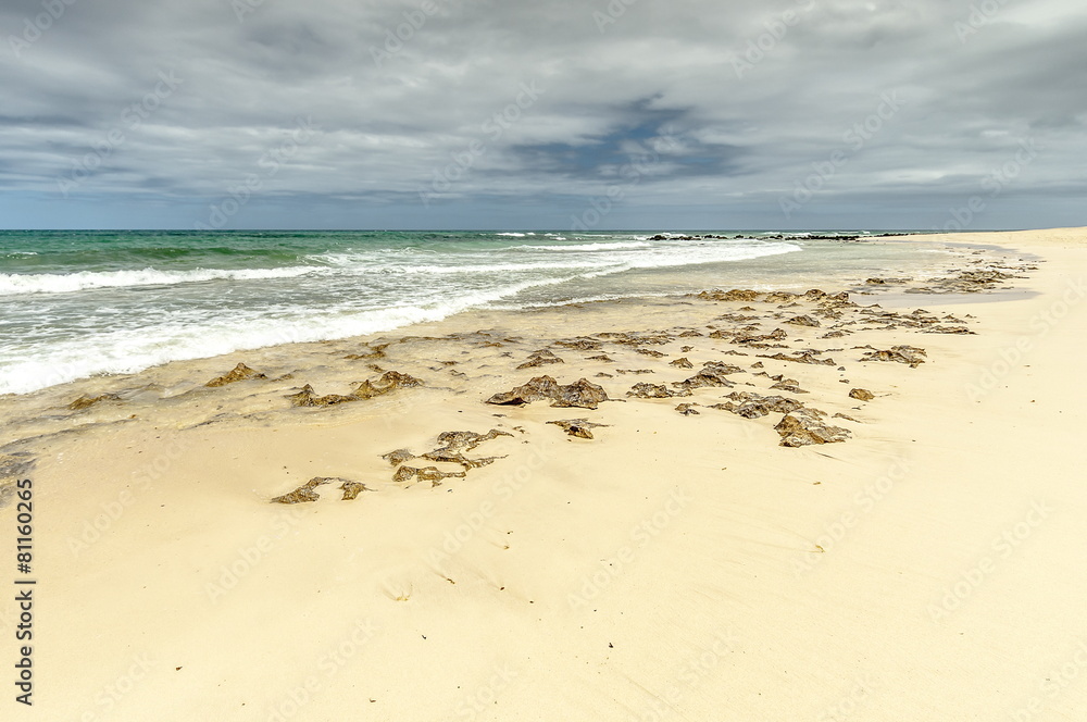Fototapeta premium Fuerteventura, Wyspy Kanaryjskie , Hiszpania
