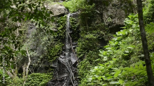 Waterfall in Lamington National Park on the New South Wales. photo