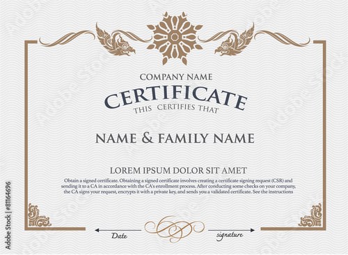 Vector certificate template.