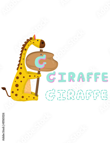 animal alphabet g with giraffe